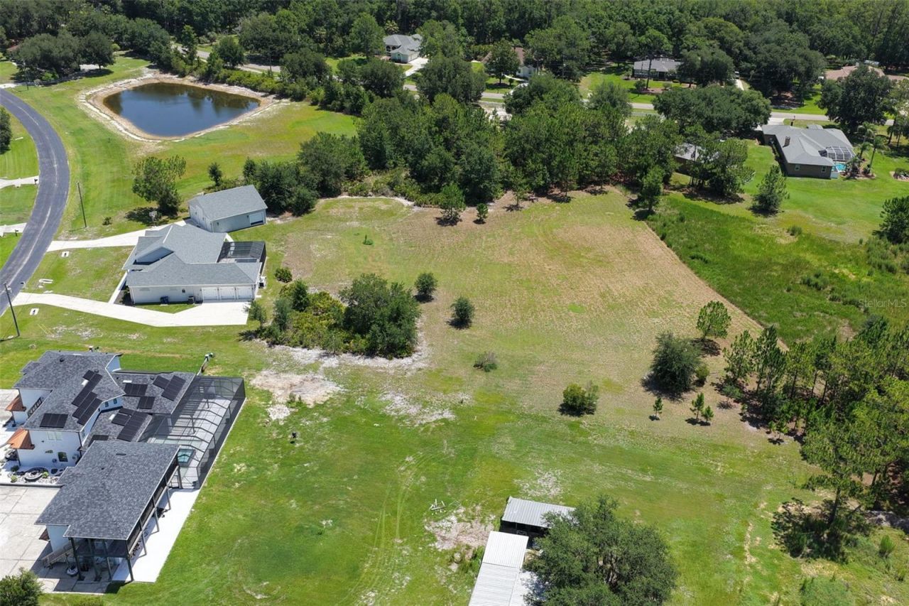 8408 Woodleaf Boulevard, Wesley Chapel, FL 33544 Photo