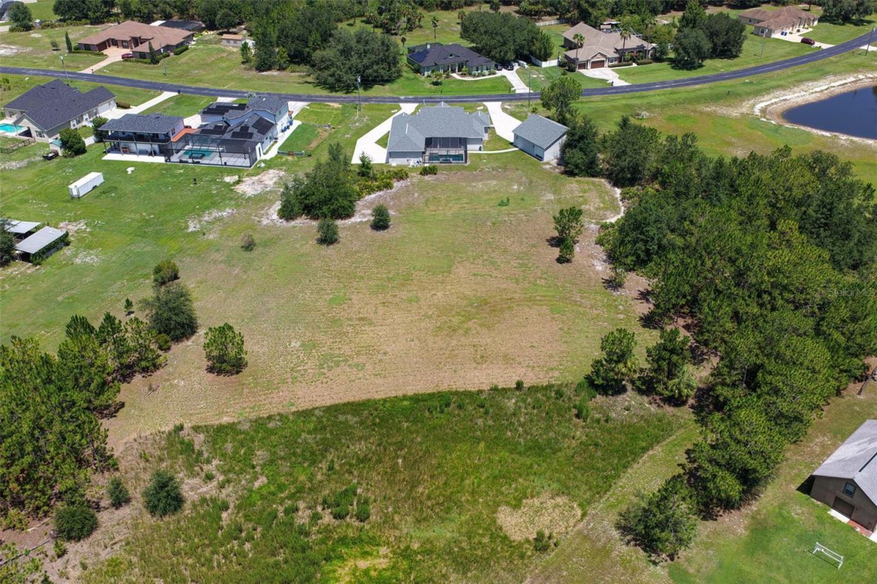 8408 Woodleaf Boulevard, Wesley Chapel, FL 33544 Photo