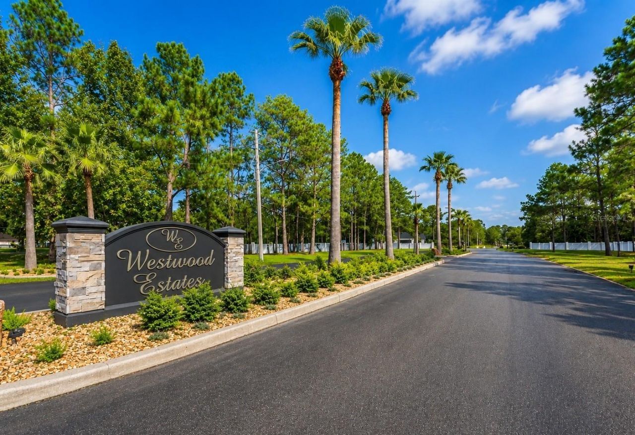 8408 Woodleaf Boulevard, Wesley Chapel, FL 33544 Photo