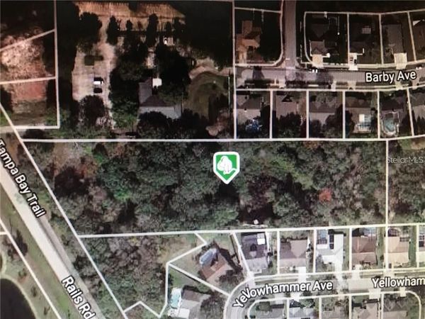 15025 RAILS ROAD , ODESSA, FL 33556