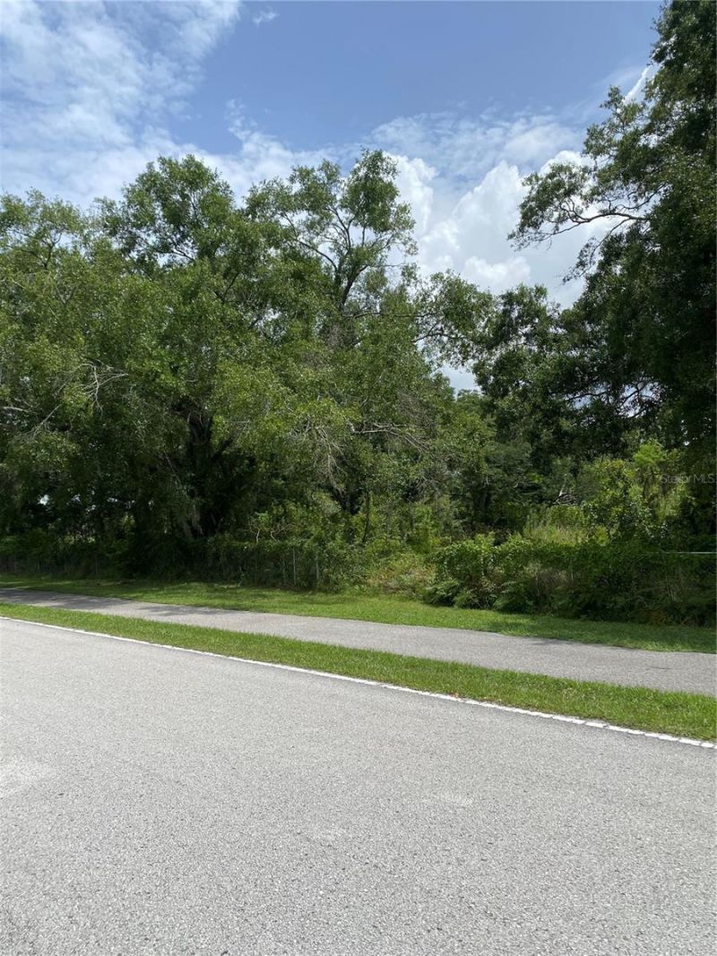 15025 Rails Road, Odessa, FL 33556 Photo