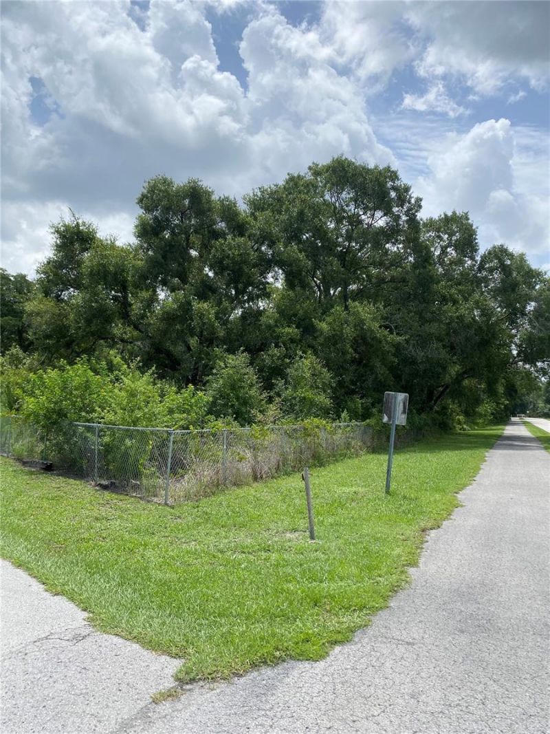 15025 Rails Road, Odessa, FL 33556 Photo