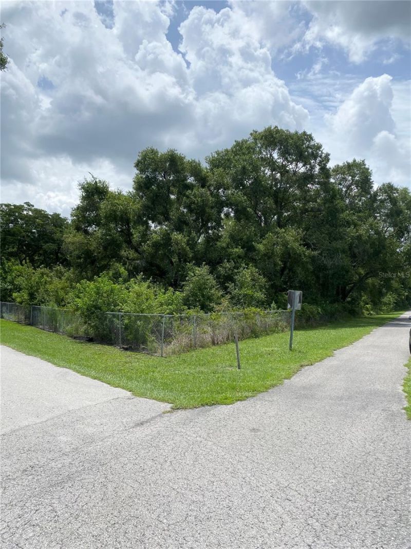 15025 Rails Road, Odessa, FL 33556 Photo