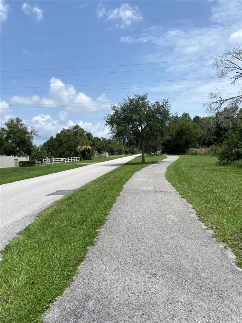 15025 Rails Road, Odessa, FL 33556 Photo