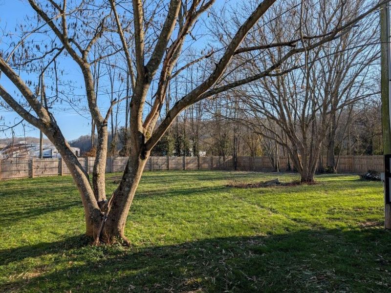 166 Wellsburg Road, Foster, KY 41043 Photo 14