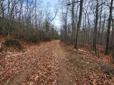 BELWORT TRAIL, STAR TANNERY, VA 22654
