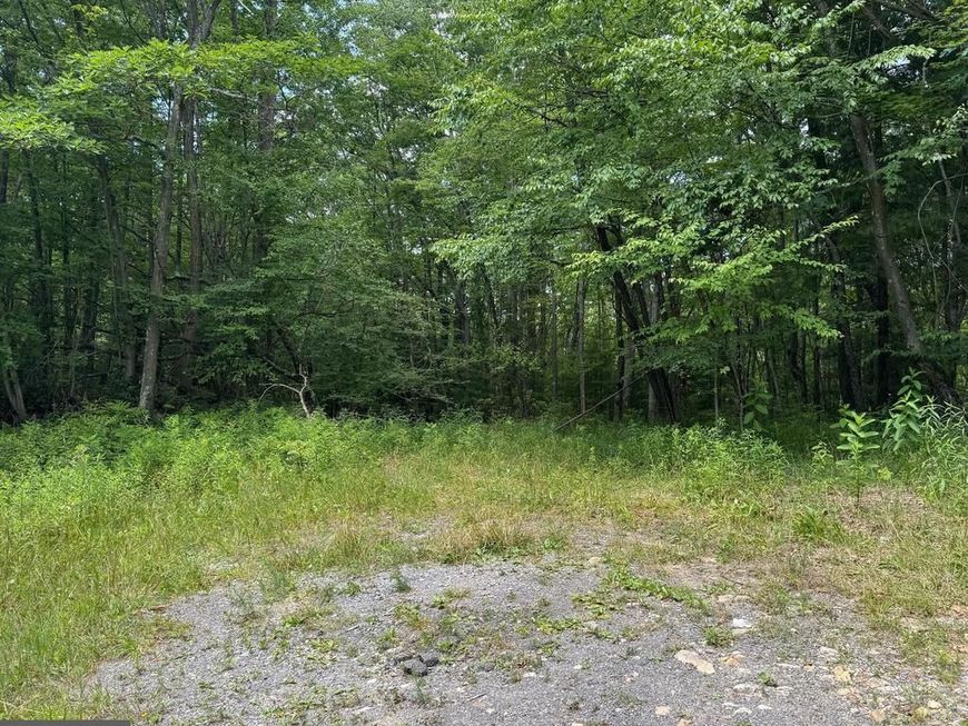 Glendale Road, Swanton, MD 21561 Main Photo