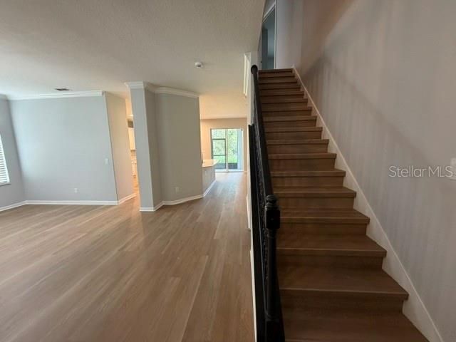 1885 Scrub Jay Rd., Apopka, FL 32703 Photo