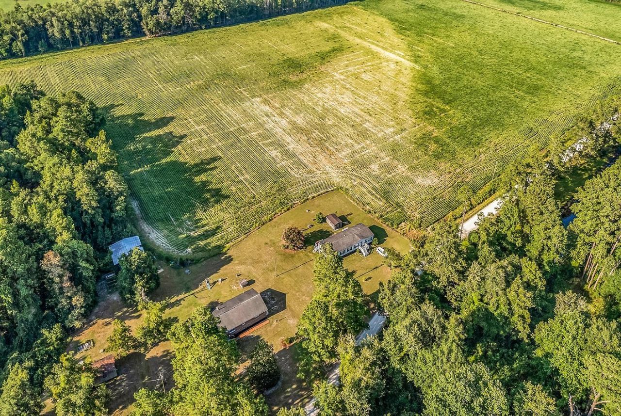 2153 Grainger Rd. Photo 43