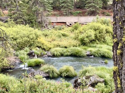 666-896 Hamilton Way, Lake Almanor, CA 00000 Photo