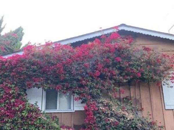 11317 1/2 Iowa Avenue , Los Angeles, CA 90025