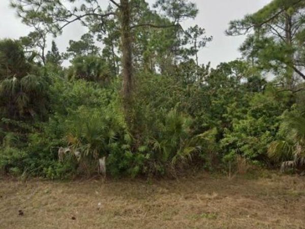 2321 Moore AVE , ALVA, FL 33920