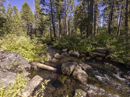 665 N Fork Place, Soda Springs, CA 95715 Photo