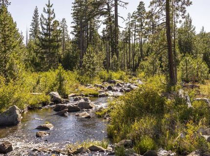 665 N Fork Place, Soda Springs, CA 95715 Photo