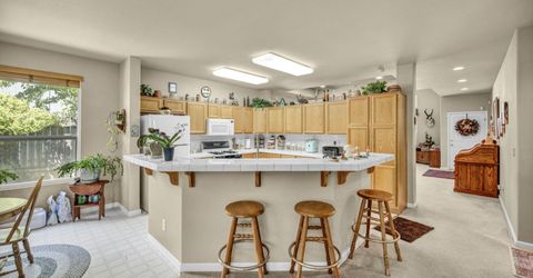 3130 Platte River Drive, Reno, NV 89503 Photo