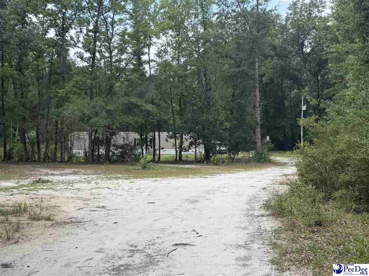 6909 Candy Buck Ln Photo 23