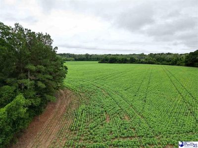 45+/- acres Road 300, Dillon, SC 29536