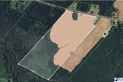 45+/- Acres Road 300 photo 4