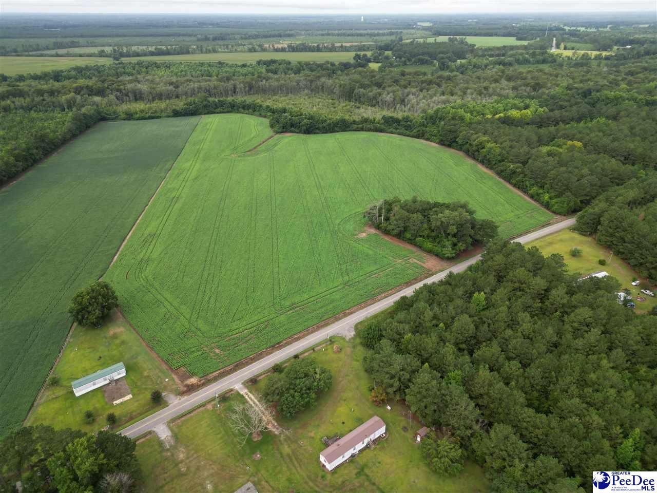 45+/- Acres Road 300 Photo 4