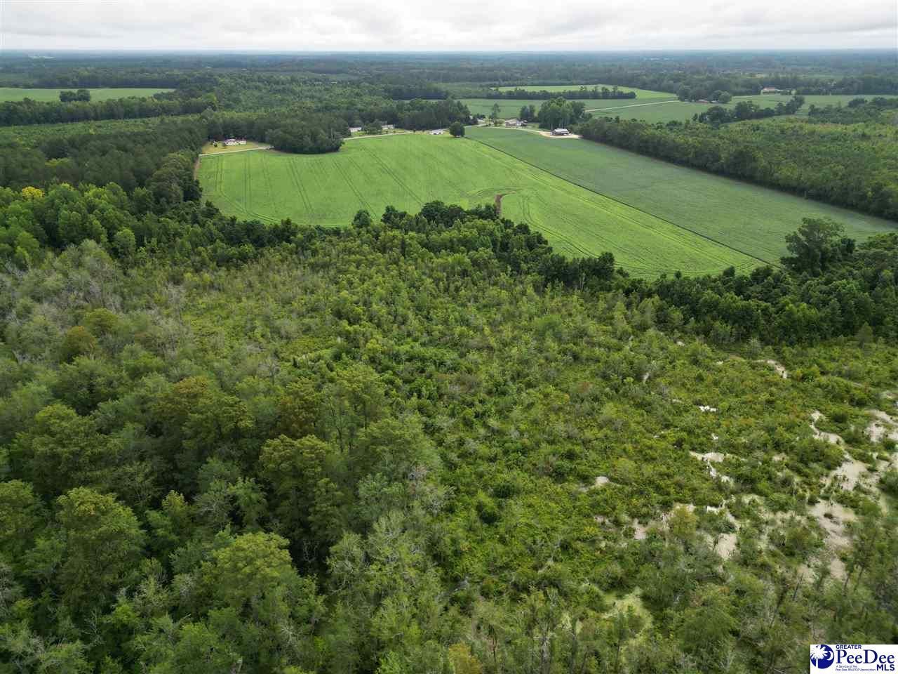 45+/- Acres Road 300 Photo 5