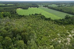 45+/- Acres Road 300 photo 4