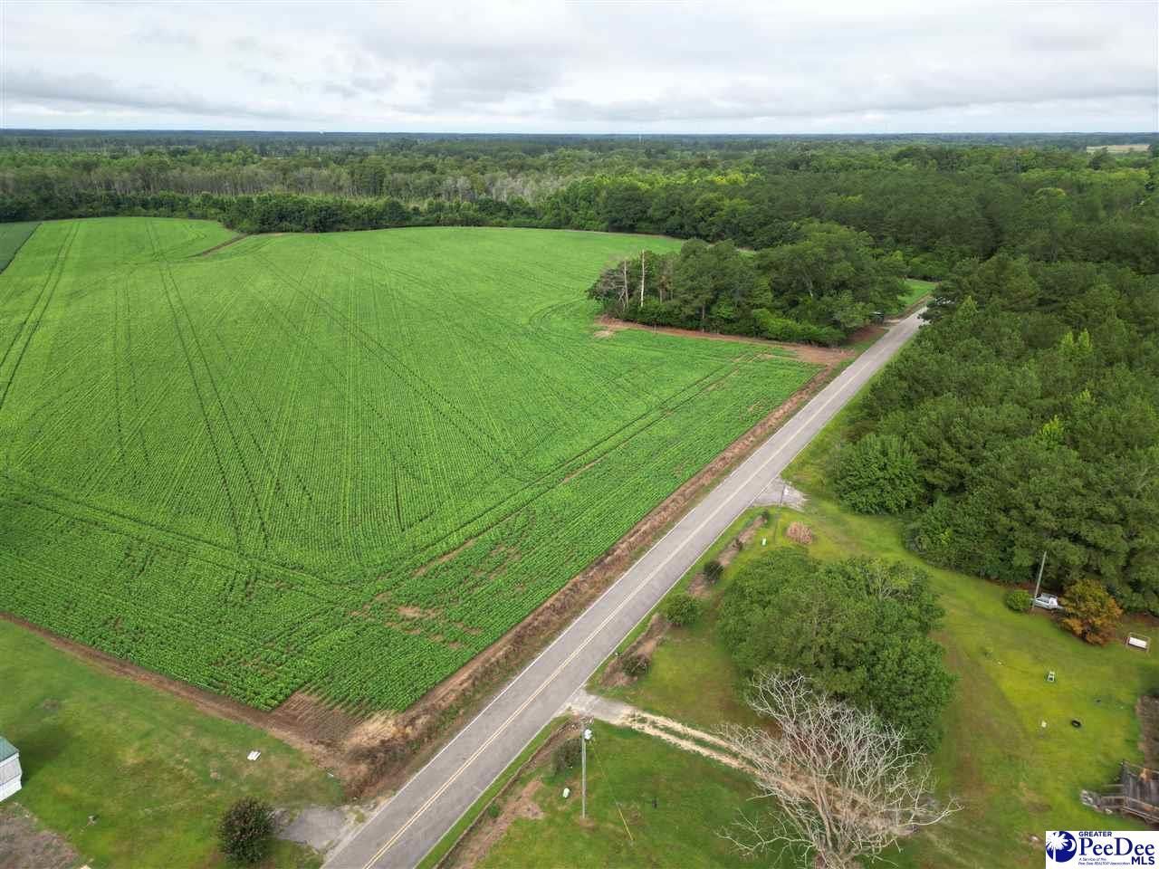 45+/- Acres Road 300 Photo 6