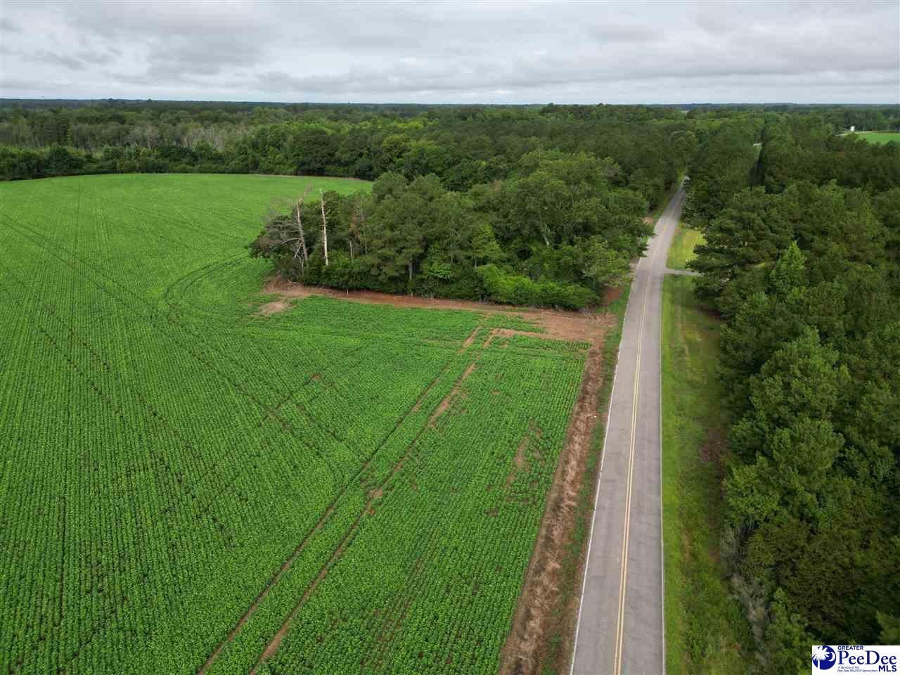 45+/- Acres Road 300 Photo 7