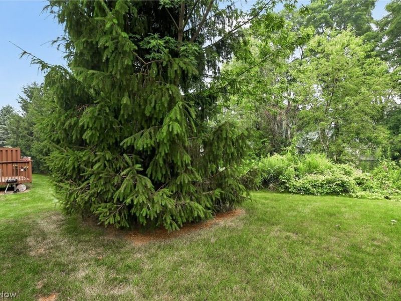 9995 Beverly Lane, Streetsboro, OH 44241 Photo 31