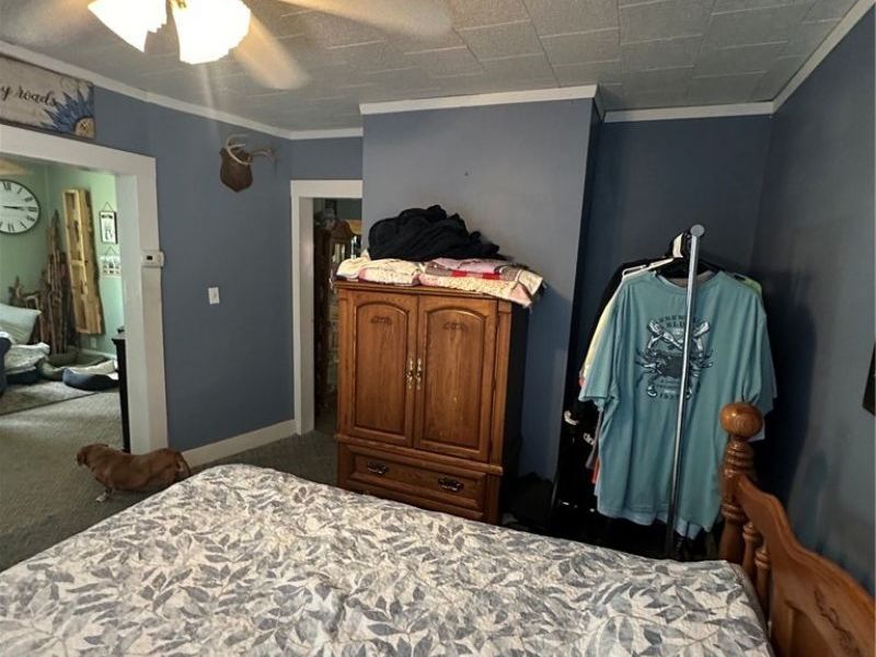 214 Charleston Street, Cadiz, OH 43907 Photo 7