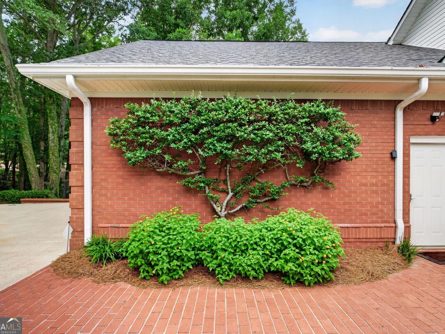 Property Image 111