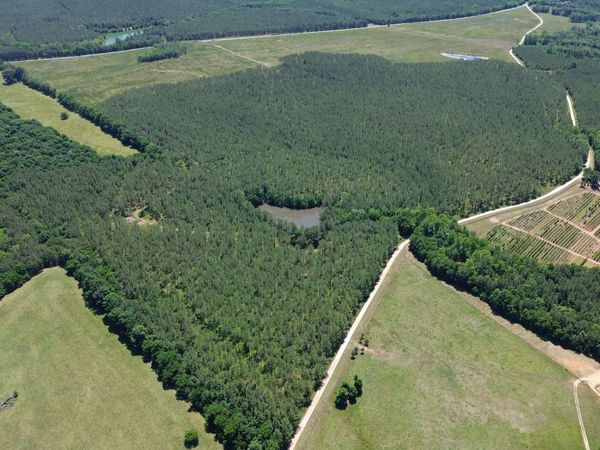 0 Flatwoods Road River Road & Colonel Dixon Road, Elberton, GA 30635