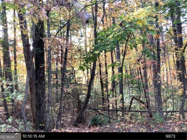 - Andros Court, Ellijay, GA 30540