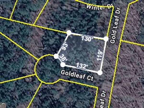 0 Gold Leaf Drive, Grantville, GA 30220