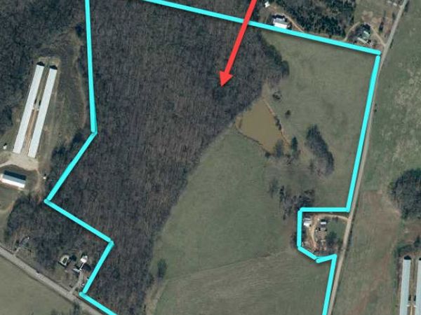 69 ACRES Elberton Highway, Hartwell, GA 30643