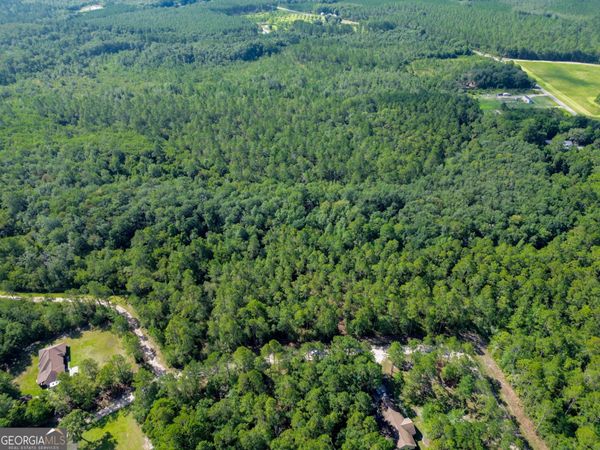 0 Davis Court, Hinesville, GA 31313
