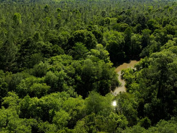 00 Robinson Road, Baconton, GA 31716
