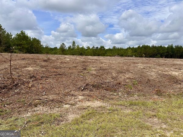 LOT B Rock Springs Road, Dublin, GA 31021