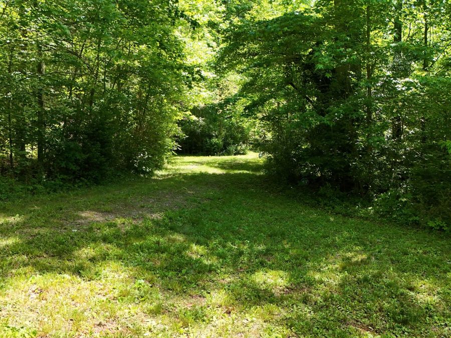 Property Image 27