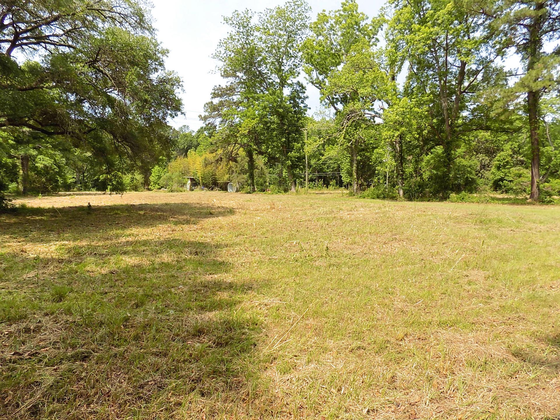 587 Main Road  Photo 11