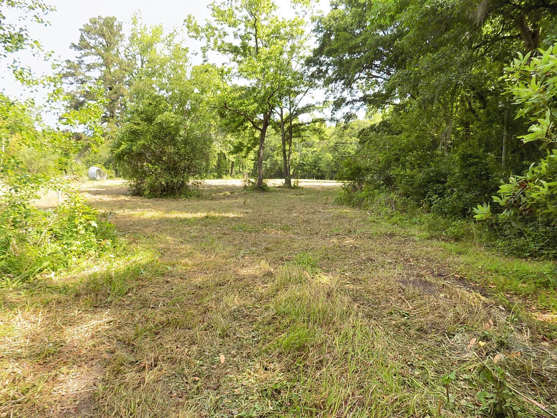 587 Main Road Photo 16