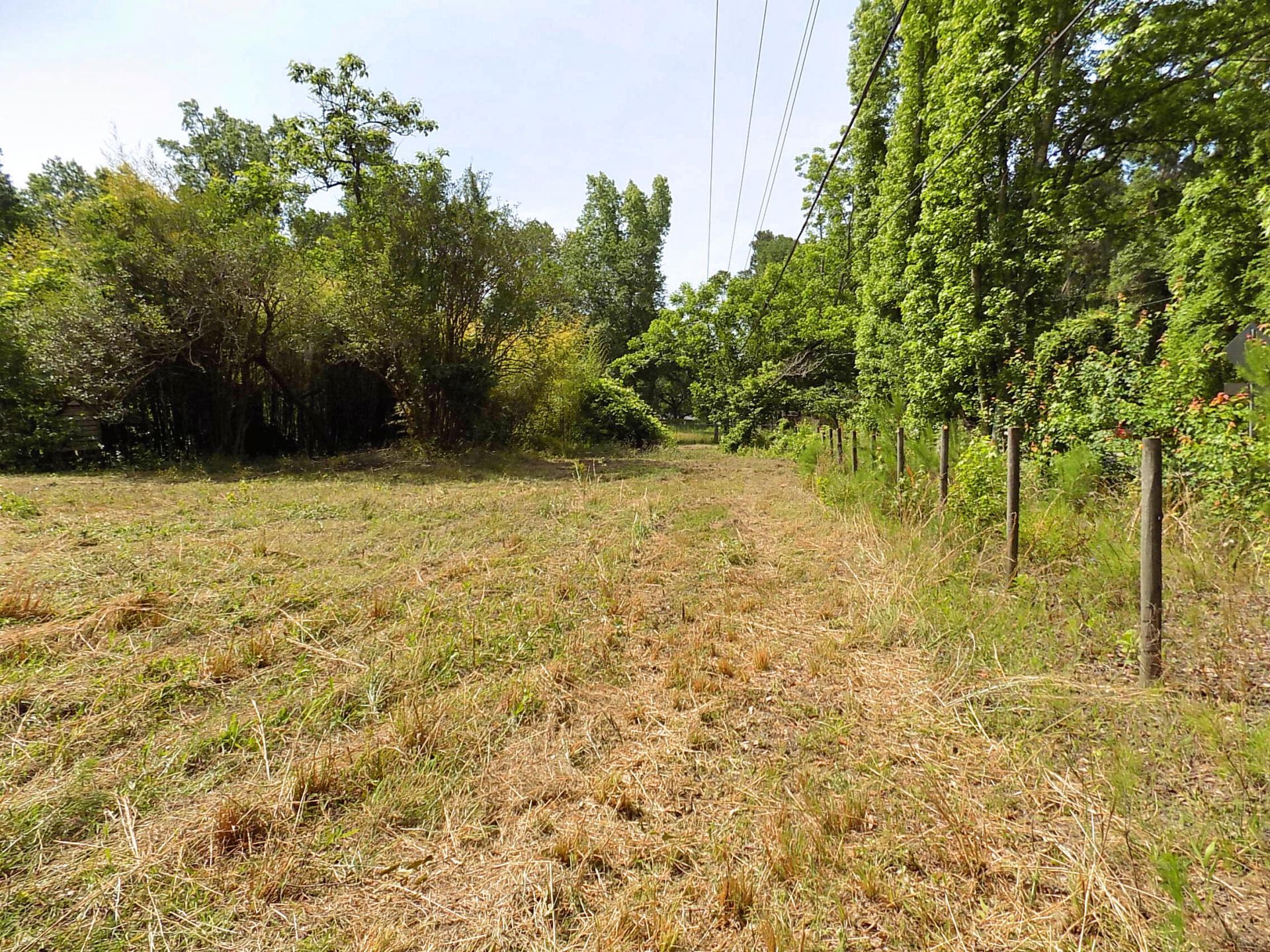 587 Main Road Photo 21