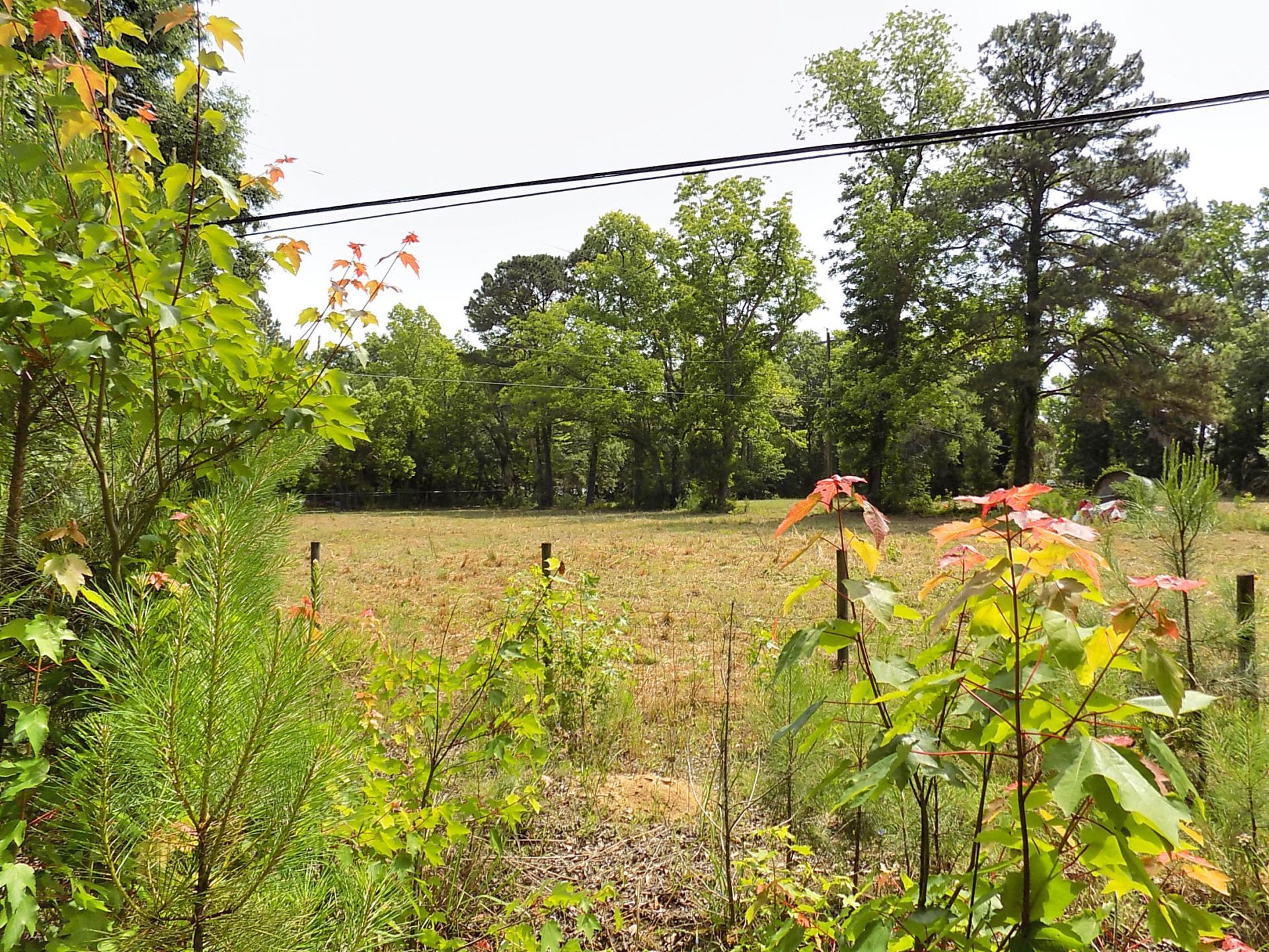 587 Main Road Photo 7