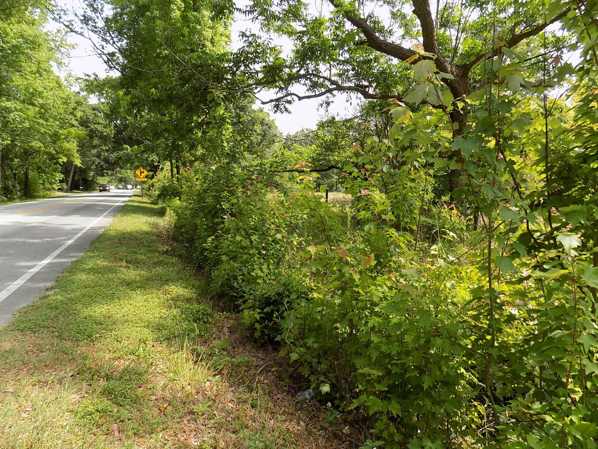 587 Main Road Photo 8