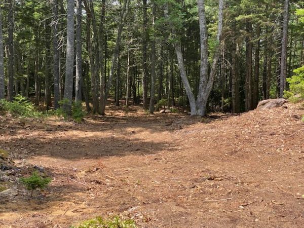 Lot 6 Bunchberry Lane , Bristol, ME 04554