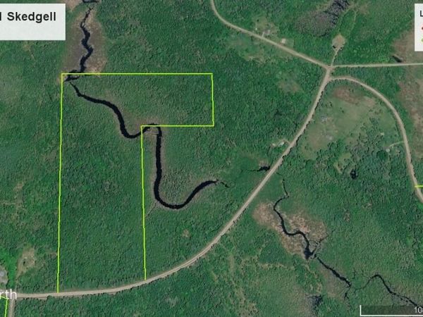 Map8Lot21 Skedgell Road , Cary Plt, ME 04471