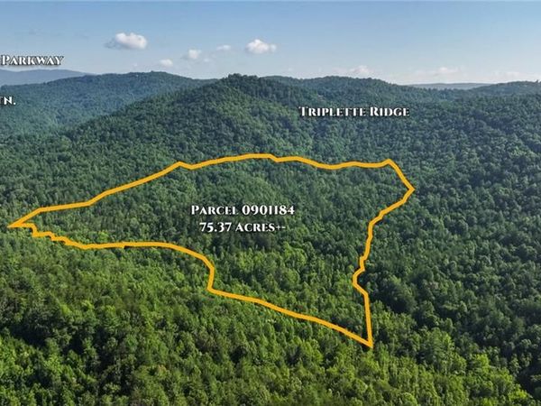 0000 Boone Trail, Purlear, NC 28665