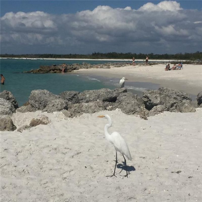 26000 Hickory Blvd , Unit 705, Bonita Springs, FL 34134 Photo