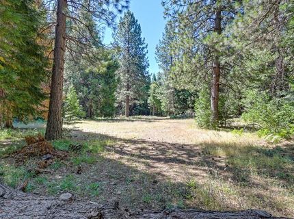 530 Caine Rd, Alta, CA 95701 Photo
