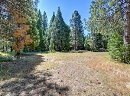 530 Caine Rd, Alta, CA 95701 Photo