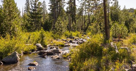 665 N Fork Pl, Emigrant Gap, CA 95715 Photo